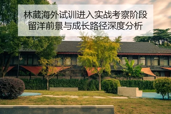 林葳海外试训进入实战考察阶段 留洋前景与成长路径深度分析