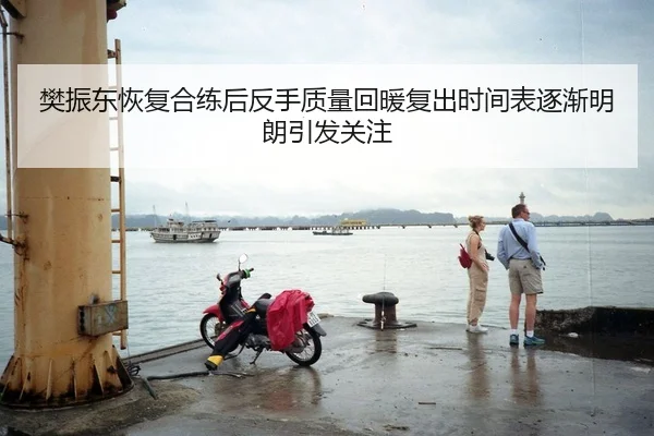 樊振东恢复合练后反手质量回暖复出时间表逐渐明朗引发关注
